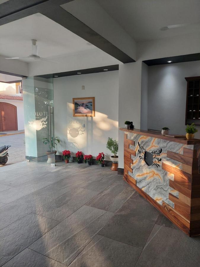 Hotel Axolotl Puerto Escondido  Luaran gambar