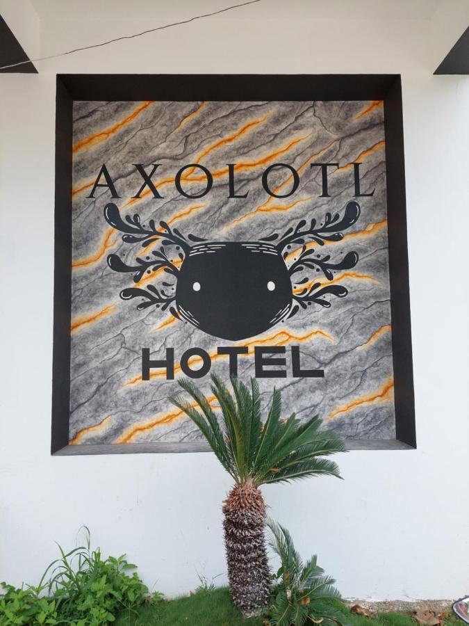 Hotel Axolotl Puerto Escondido  Luaran gambar